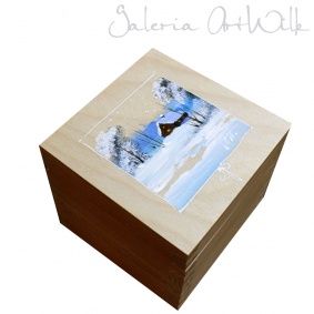 Glass ball in wooden box 39143